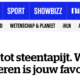 Van parket tot steentapijt
