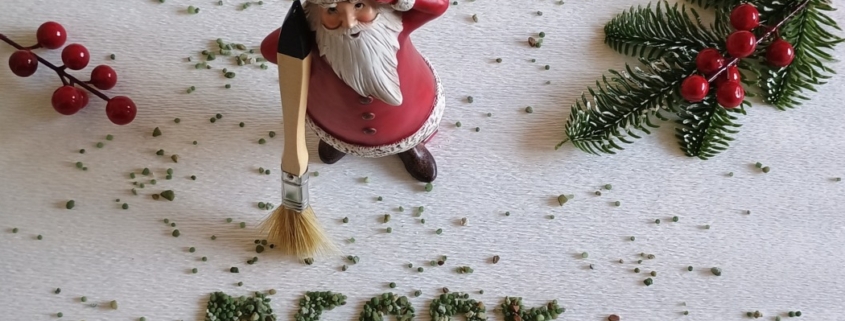 Losse steentjes borstelen beu? GRAVELFIXX op jouw kerstlijstje!